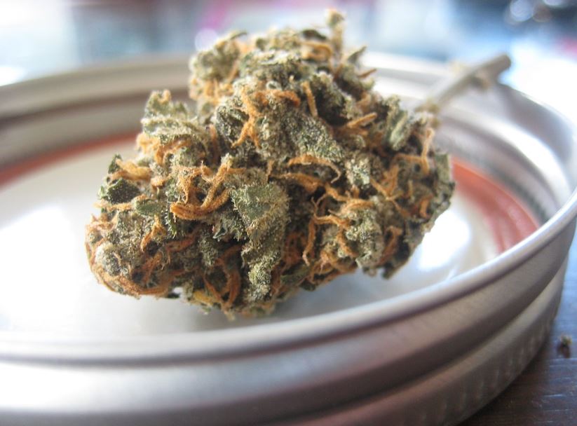 Illinois accepting applications for new Cannabis dispensary licenses Home